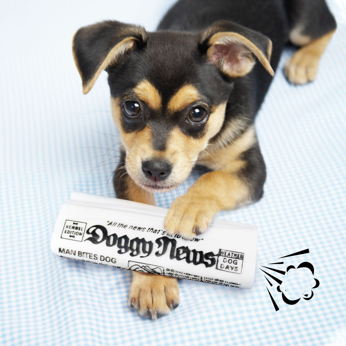 Squeaky Pet Dog Toy Newspaper