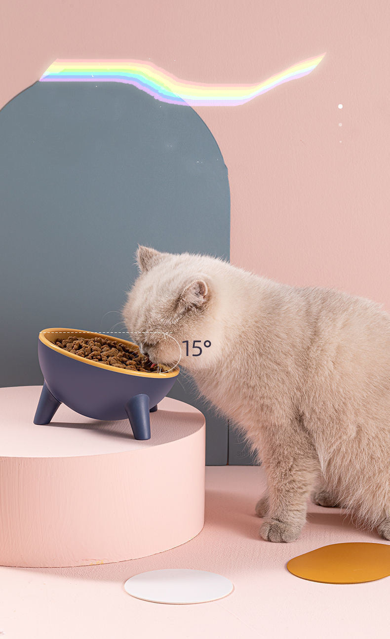 Stand Pet Feeding Food Bowls