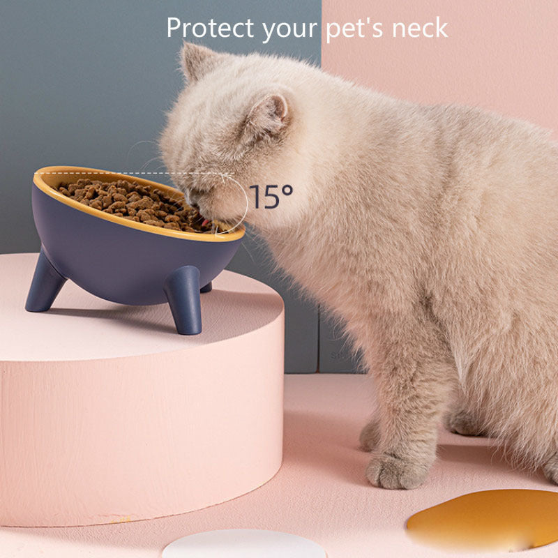 Stand Pet Feeding Food Bowls