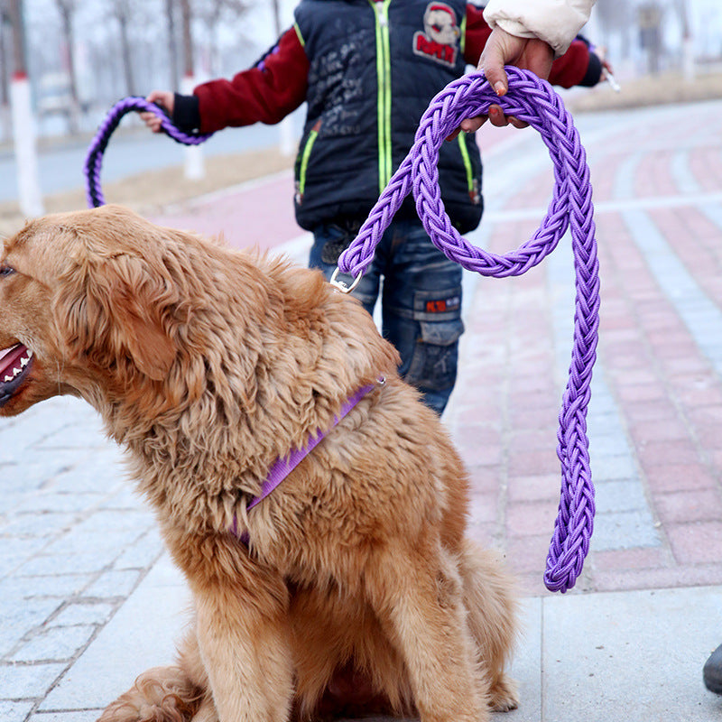 Dog Leashes Updated Stereotyped Rope