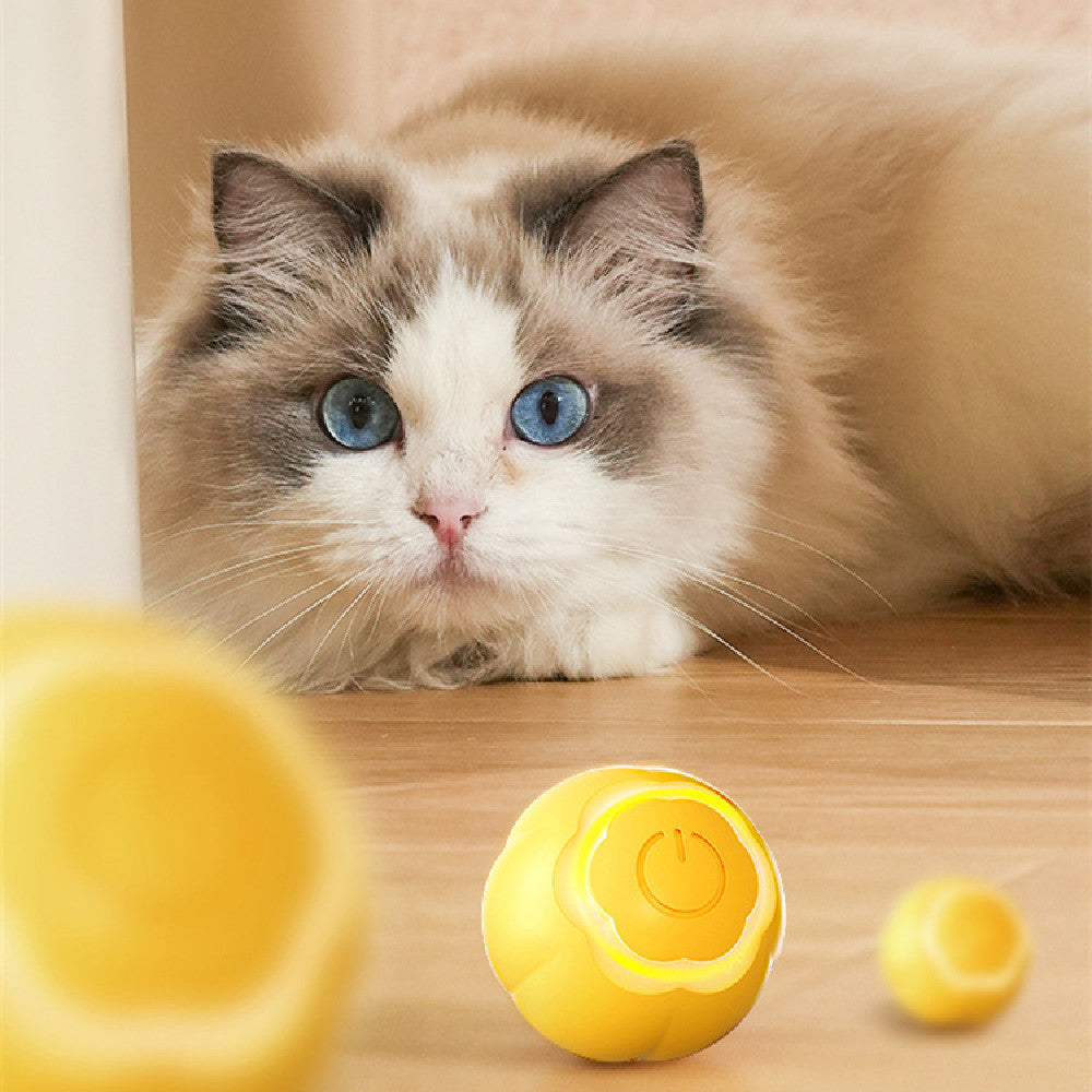 Pet Smart Rolling Ball Cat Toy