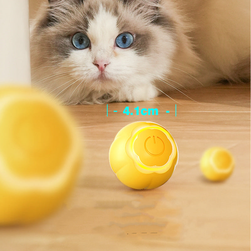 Pet Smart Rolling Ball Cat Toy