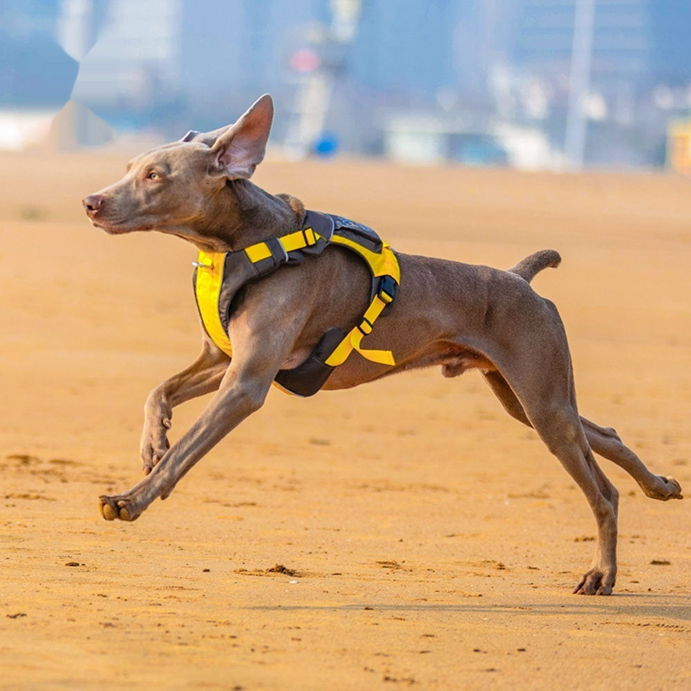 Dog Chest Strap Vest Style