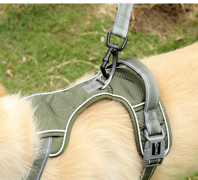 Elastic Retractable Dog Leash