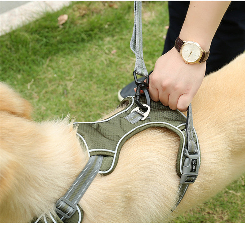 Elastic Retractable Dog Leash