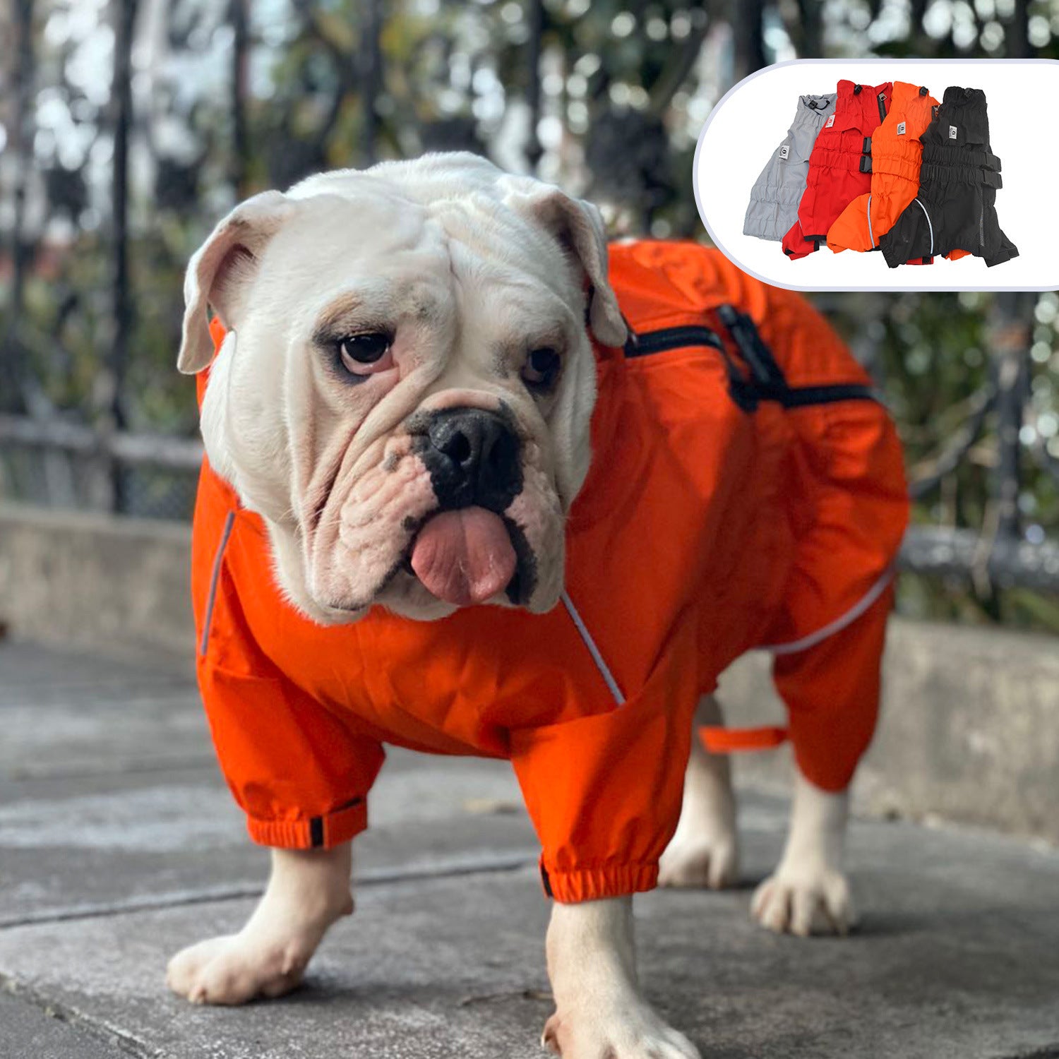 Pet Dog Outdoor Clothing Raincoat