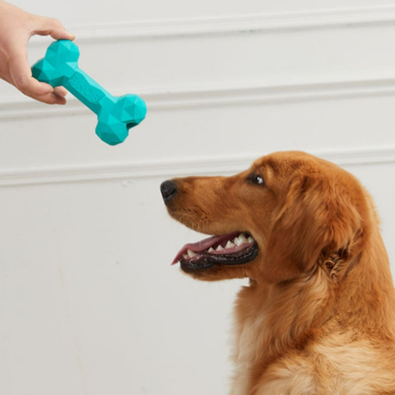 Pet Teeth Grinding Bite Bone Toy