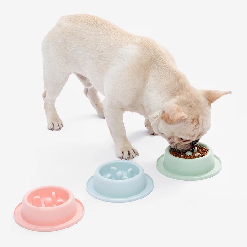 Pet Feeder Dog Feeding Food Bowls