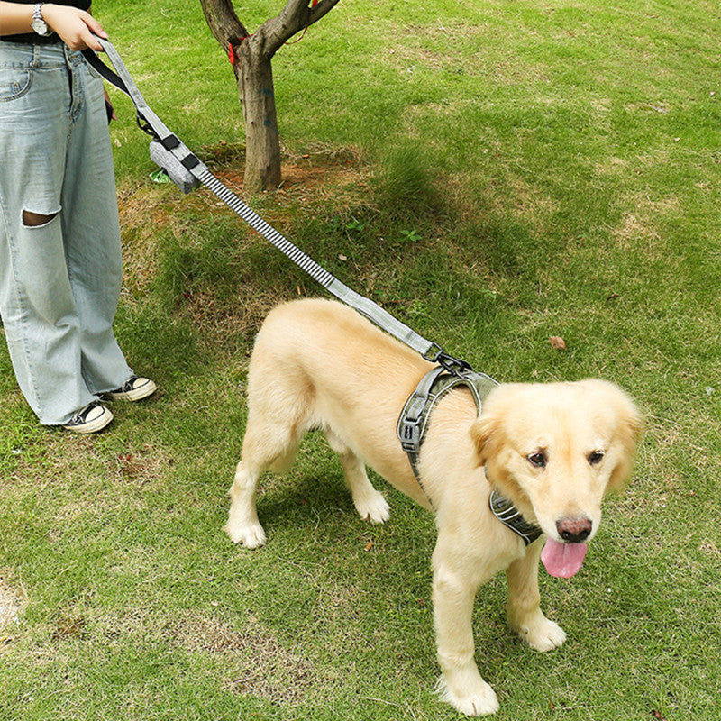 Elastic Retractable Dog Leash